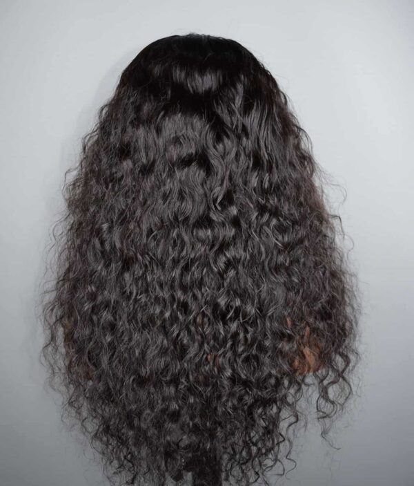 Bold Beauty's Water Wave Closure Wig